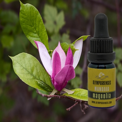 Magnolia essential oil discount