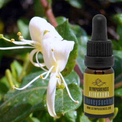 Honeysuckle on sale essential oil